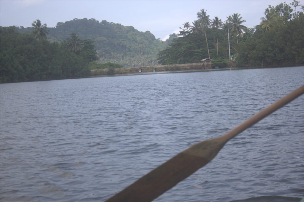 Maior mangal de São Tomé