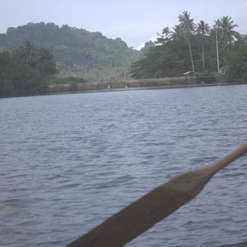 Maior mangal de São Tomé