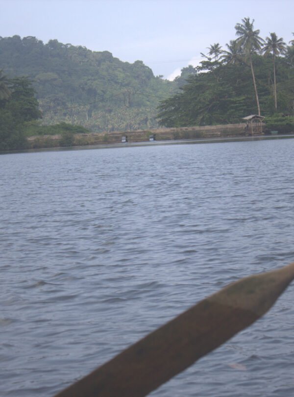 mangal