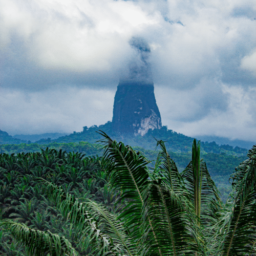 Pico Cão Grande em São Tomé e Príncipe rodeado pela floresta tropical