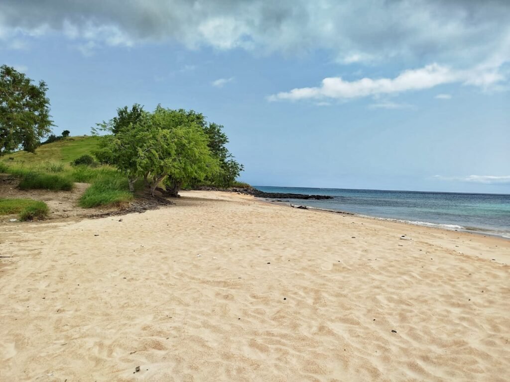 Praias paradisíacas de São Tomé e Príncipe com areia dourada e mar azul