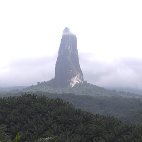 cão grande