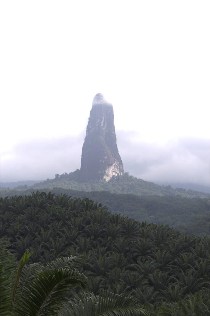 cão grande