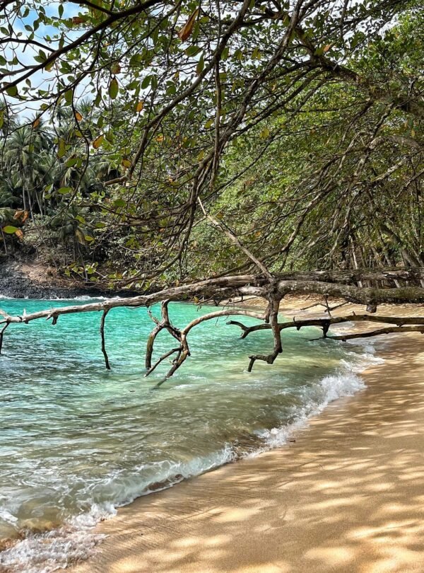 Praias